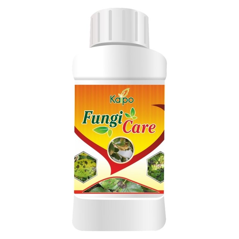 Kaipo Fungi Care